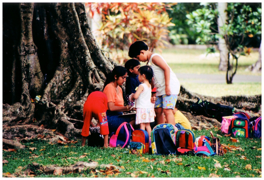 01 - Ile Maurice (12).jpg